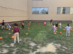 prek pumpkin patch